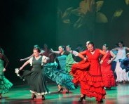 El flamenco será parte de la programación que usted podrá disfrutar. 
