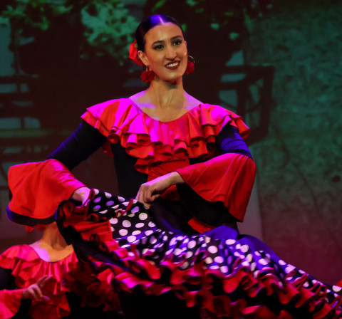Los Palos del Flamenco Escuela de Flamenco Paulina Peralta