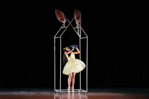Ballet Contemporáneo Alicia en el país de las maravillas  del 1 al 17 de diciembre