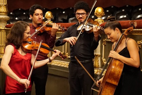 El grupo está conformado por Eva Trigueros y Gustavo Arauz en el violín; Naamán Muñoz, viola y Catalina Calderón, cello. 