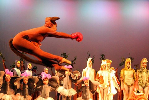 El carnaval de los animales de Danzay. 