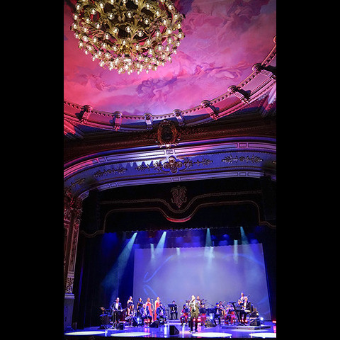 Gaviota La noche más romántca