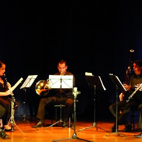 El Quinteto Entre Quintos nace en el 2009 como un proyecto que promueve la música costarricense y latinoamericana.