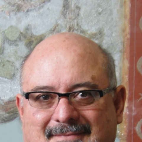 Carlos Mesén Rees