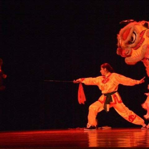 Celebración del año nuevo chino Danza del León. El Centro de Artes Orientales,  alumnos y practicantes de la Federación Wushu Kung Fu de Costa Rica, bajo la dirección del Máster Victor On, 