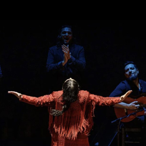 Contrapunto, el espectáculo más reciente de la bailaora Karime Amaya, 